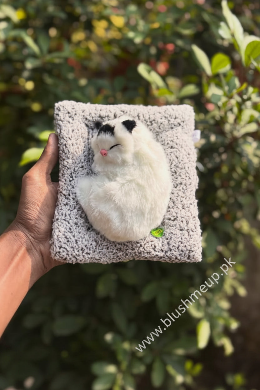 Cute Plush Sleeping Cat | Car Dashboard Display & Home Decor